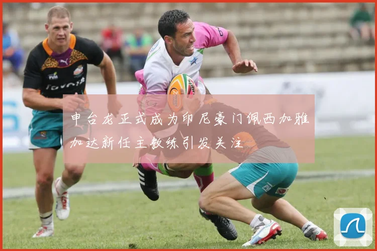 申台龙正式成为印尼豪门佩西加雅加达新任主教练引发关注