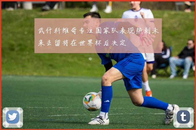 武什科维奇专注国家队表现热刺未来去留将在世界杯后决定